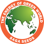 The Energy of Green World