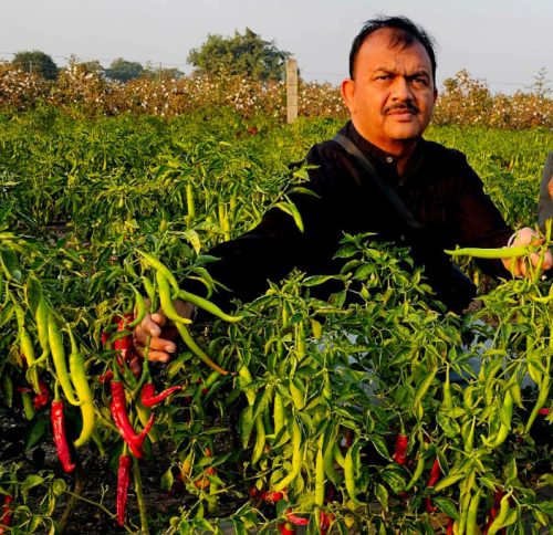 Quality Seeds Meet Farmer Success